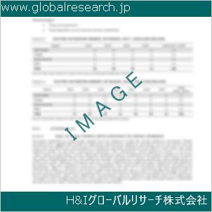 グローバルリサーチ調査資料のイメージ